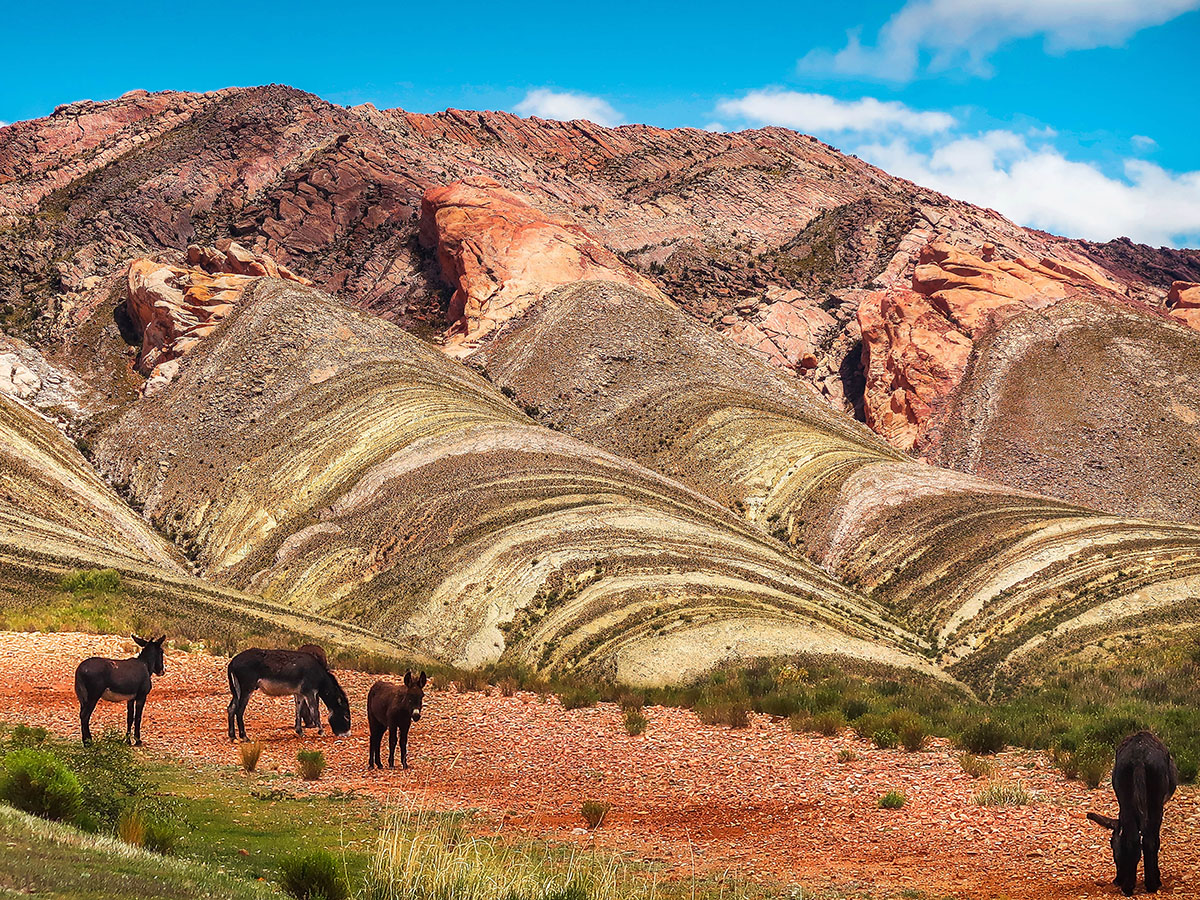 Quebrada de Humahuaca.jpg