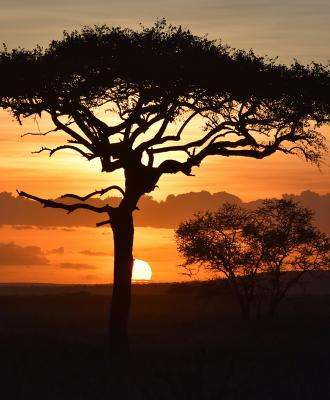 tanzanie