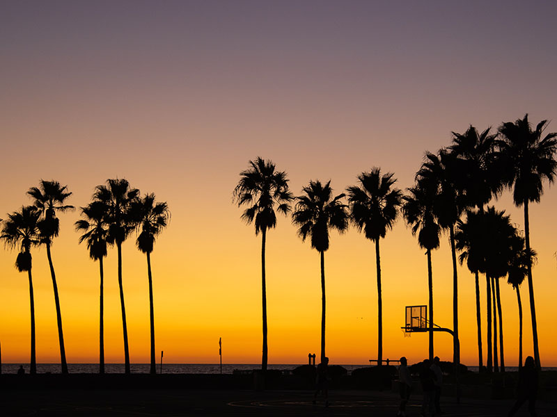 Venice Beach, Los Angeles, Etats-Unis, voyage, circuit