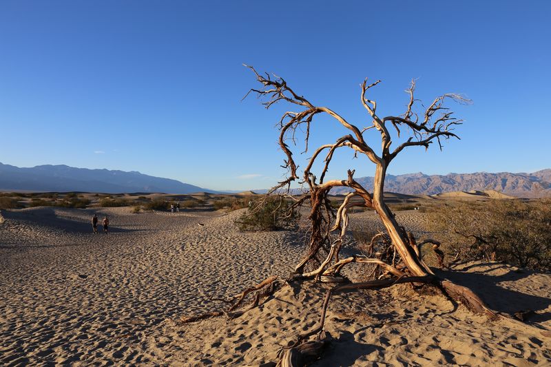 Death Valley, Vallée de la mort, Etats-Unis, voyage, circuit