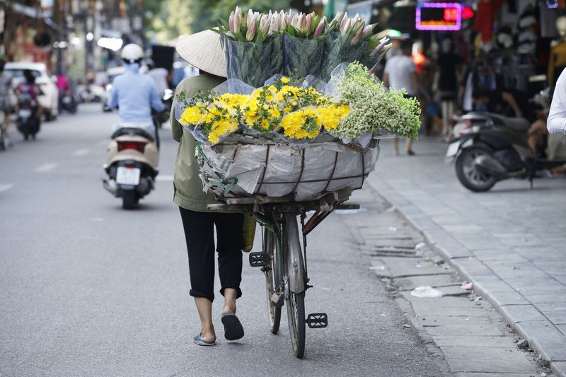 Vendeuse de rue, Hanoi, Vietnam, circuit, voyage